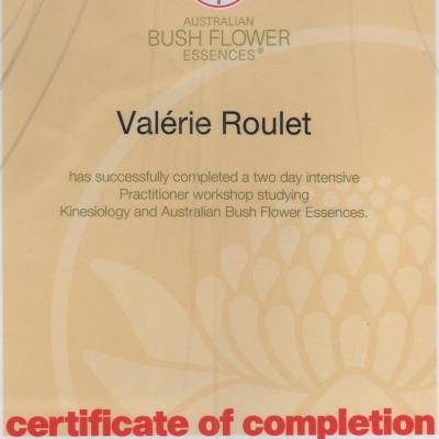 Certificat de praticien etudiant kinesiology et australian bush flow