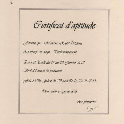 Certificat d aptitude perfectionnement